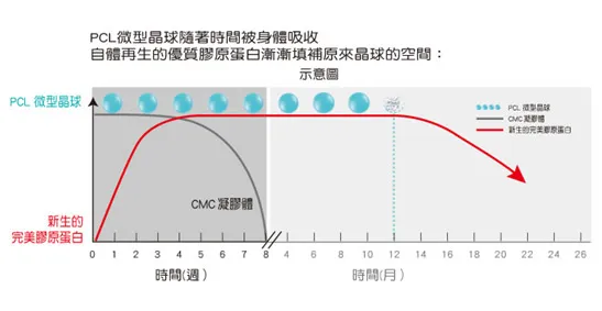 Ellanse 洢蓮絲 PCL 微球 與 CMC 凝膠載體 作用原理圖
