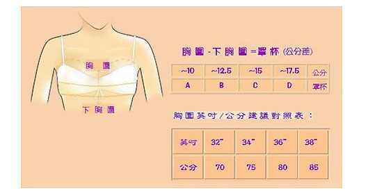 罩杯尺碼測量