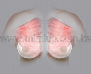 第一動：釋放肌肉壓力