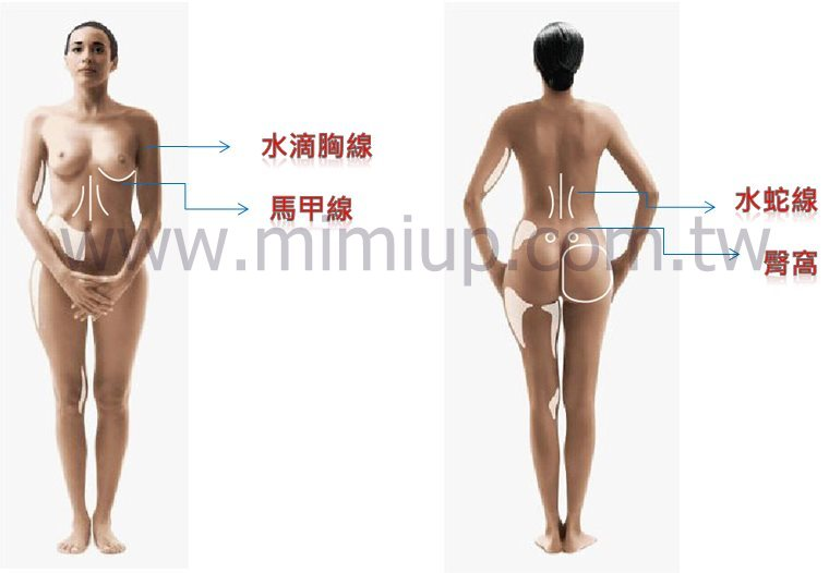 女性而言：性感加分的曲線密碼