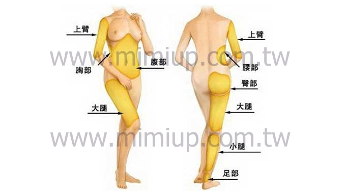 適合威塑抽脂的熱門部位