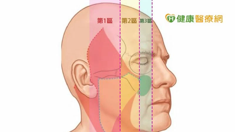 臉部皮膚解剖構造共分為五層