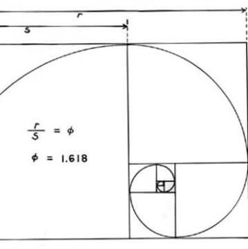 完美胸部的黃金比例